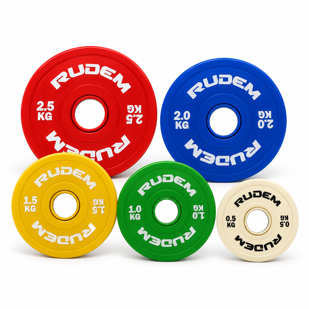 DISCOS FRACCIONALES RUDEM