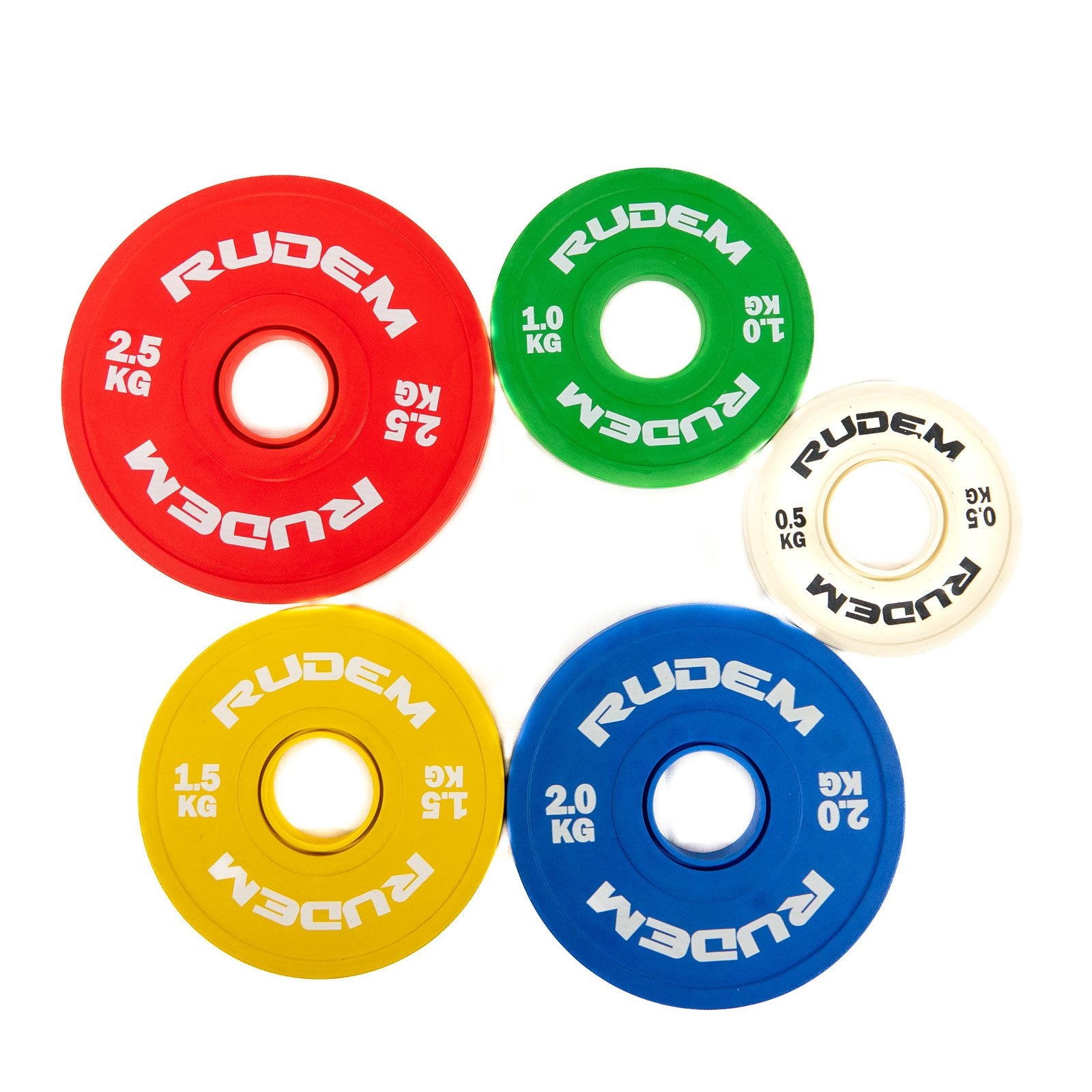 DISCOS FRACCIONALES RUDEM